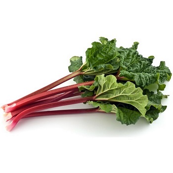 Rhubarb - 20 دارو برای روان شدن شکم - چه چیزی بخوریم؟