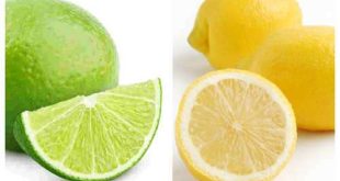 67656646 310x165 - لیمو ترش بهتر است یا لیمو شیرین