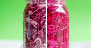 easy pickled cabbage 3 650x888.jpg 310x165 - طرز تهیه ترشی کلم قرمز با سرکه سفید فوری